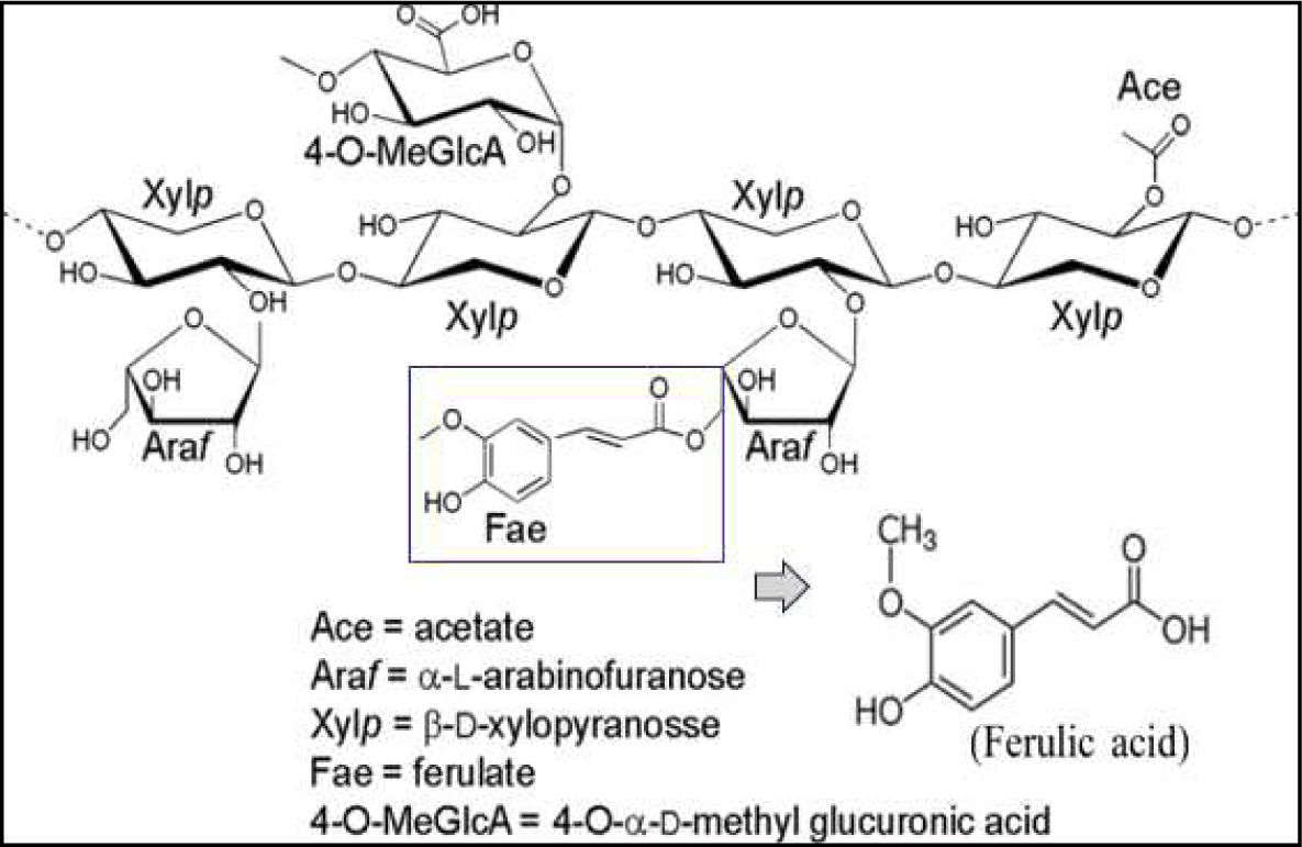 fppi-25-1-1-g2